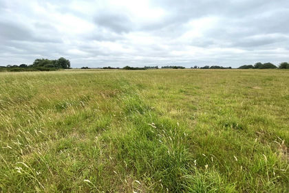 40.6 acres of Agricultural Land for sale in Coveney