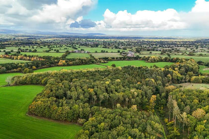 20.1 acres of Woodland for sale in Ellesmere Rural