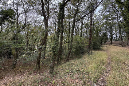 1.3 acres of Woodland for sale in Worthen with Shelve