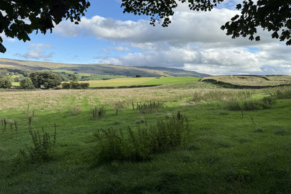 4 acres of Undeveloped Land for sale in