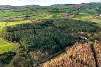 51.3 acres of Agricultural Land for sale in North Ayrshire and Arran