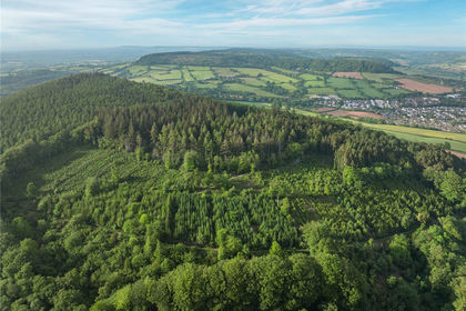 67.4 acres of Timberland for sale in Devon