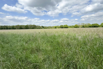5 acres of Undeveloped Land for sale in Wanborough