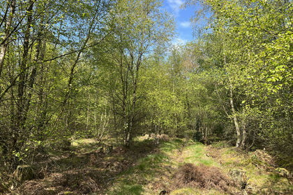 2.3 acres of Woodland for sale in