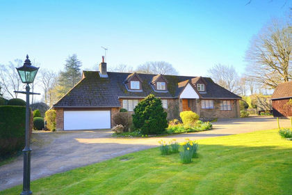 10.5 acres of Land for sale in Abinger