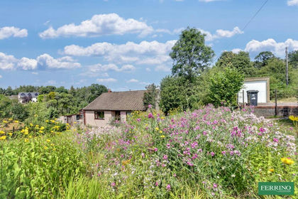 7 acres of House with Land for sale in West Dean