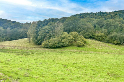 9.3 acres of Undeveloped Land for sale in Satterthwaite
