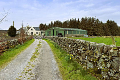 117.1 acres of Agricultural Land for sale in Dumfries and Galloway