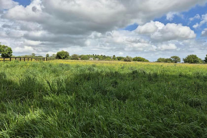 4.6 acres of Equestrian property for sale in Holbrook