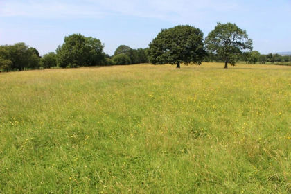 8.3 acres of Farmland for sale in Balderstone