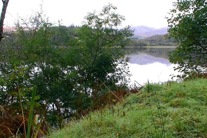 84 acres of Recreational Land for auction in Argyll, Bute and South Lochaber