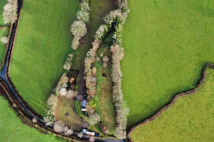 Cheap Land for sale in Walkhampton