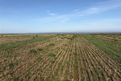 31.4 acres of Agricultural Land for sale in High Bickington