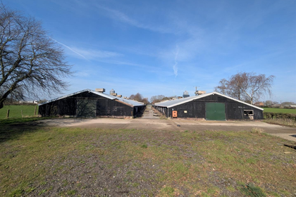 1.5 acres of Chicken Farm for sale in Dalton