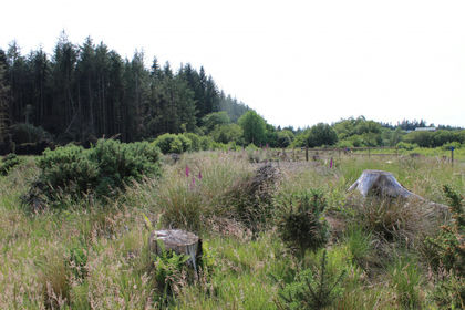 7 acres of For sale in Scotland