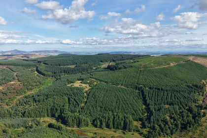 599.2 acres of Timberland for sale in Perth and Kinross-shire