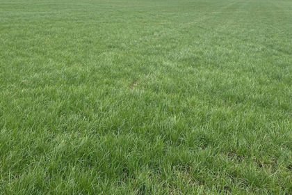 84.2 acres of Farmland for sale in Prees