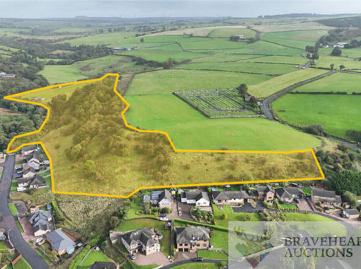 19.3 acres of Agricultural Land for sale in Kilmarnock and Loudoun