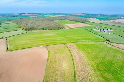 Agricultural Land for sale in Treswell