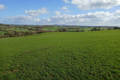 26 acres of Pasture for sale in Linton (Bromyard Bringsty Ward)