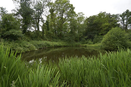 1.9 acres of Recreational Land for sale in Whaley Bridge
