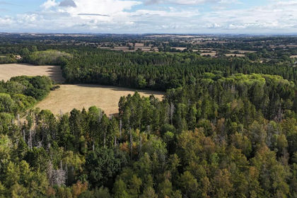 4.8 acres of Woodland for sale in Minterne Magna