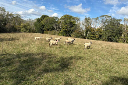 14.8 acres of For sale in Mayfield and Five Ashes
