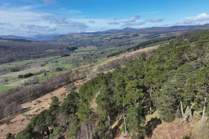147.3 acres of Woodland for sale in Angus and Perthshire Glens