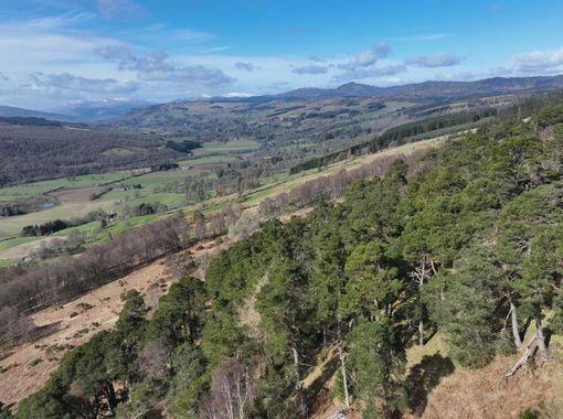 147.3 acres of Woodland for sale in Angus and Perthshire Glens