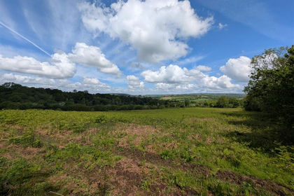 7 acres of Amenity Land for sale in Calstock