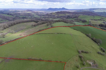 79.7 acres of Agricultural Land for sale in Caersws