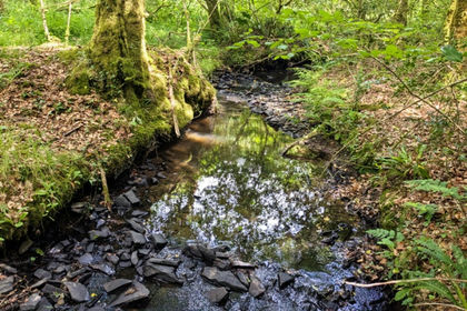 3.3 acres of Woodland for sale in