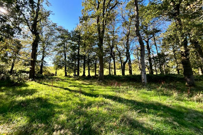 2.4 acres of Recreational Land for sale in Pendoylan