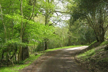 12.8 acres of Undeveloped Land for sale in Holford