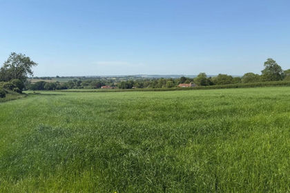 11.1 acres of Vacant Land for sale in East Pennard