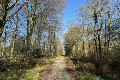 32 acres of Woodland for sale in Bramham cum Oglethorpe