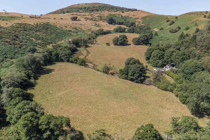 59.9 acres of House with Land for sale in Llanarmon-yn-Ial