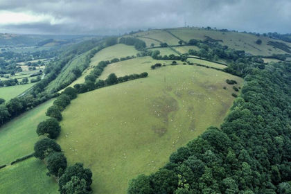30 acres of Agricultural Land for sale in Llanfihangel Ystrad