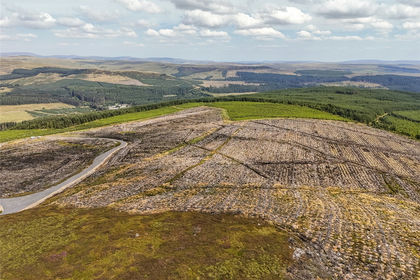 1304.9 acres of Timberland for sale in Northumberland
