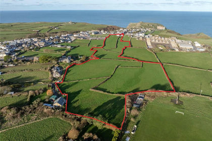 13.3 acres of Agricultural Land for sale in Tintagel