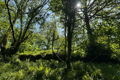 Vacant Land for sale in Yelverton