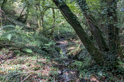 3.8 acres of Woodland for sale in