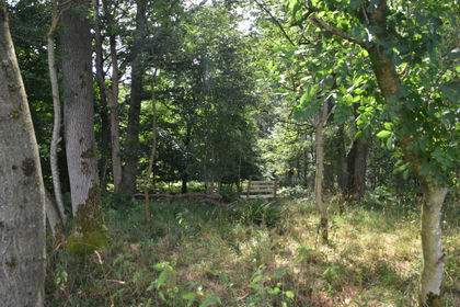 6.8 acres of Woodland for sale in