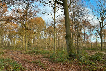 3.8 acres of For sale in North Yorkshire