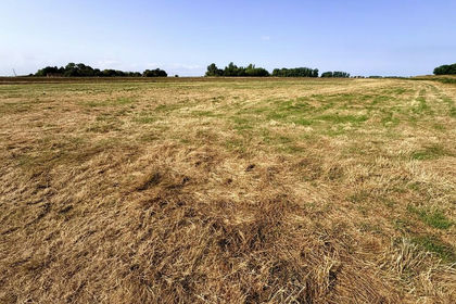 28.9 acres of Farmland for sale in Deeping St Nicholas