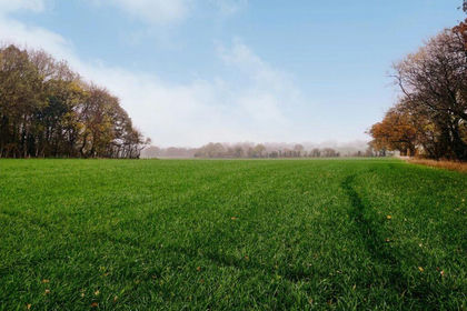 13.5 acres of Land for sale in Eccleshall