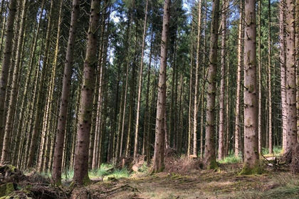 8.4 acres of Recreational Land for sale in Washfield