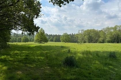87.8 acres of Agricultural Land for sale in Benenden