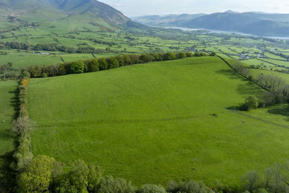 56.5 acres of Agricultural Land for sale in Bassenthwaite