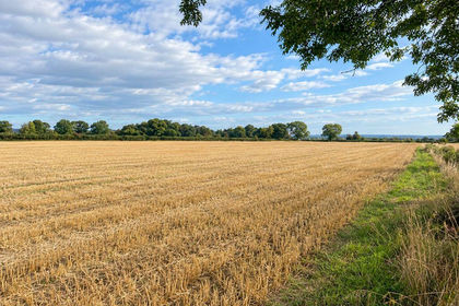 8.5 acres of For sale in Barugh (Great and Little)